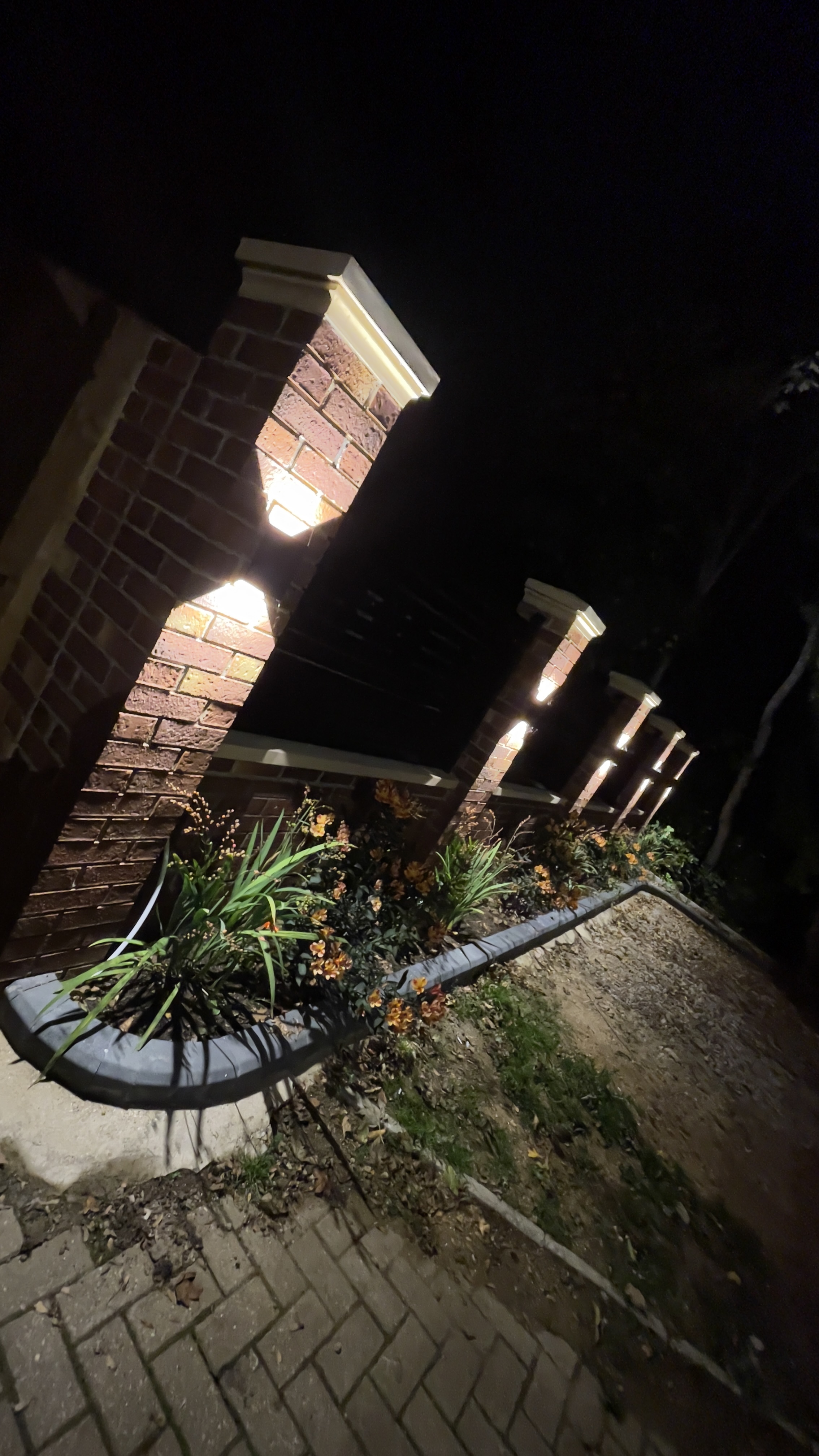 Festoon lighting over outdoor dining area