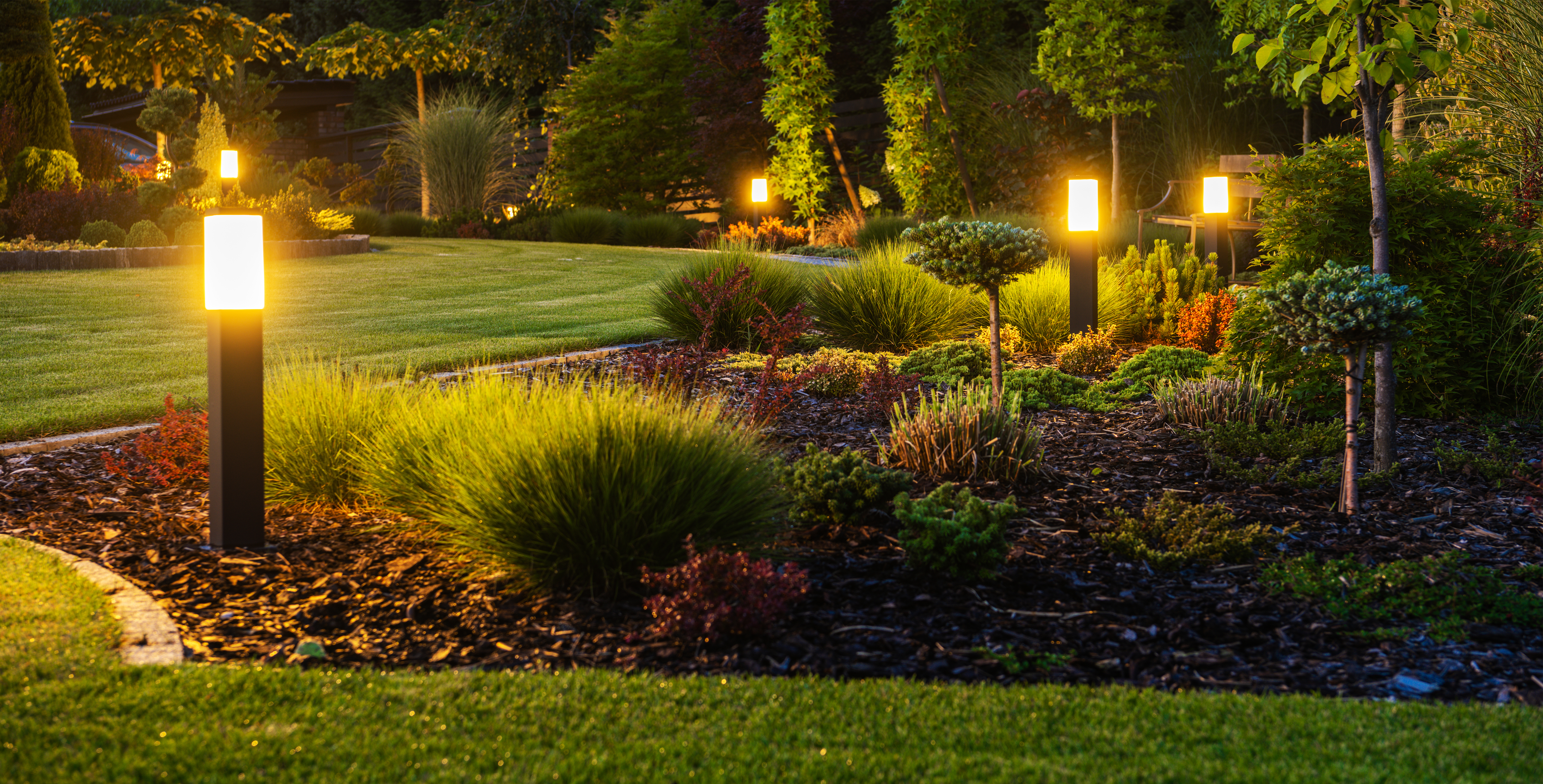 Garden lighting at dusk with uplighting and path lights