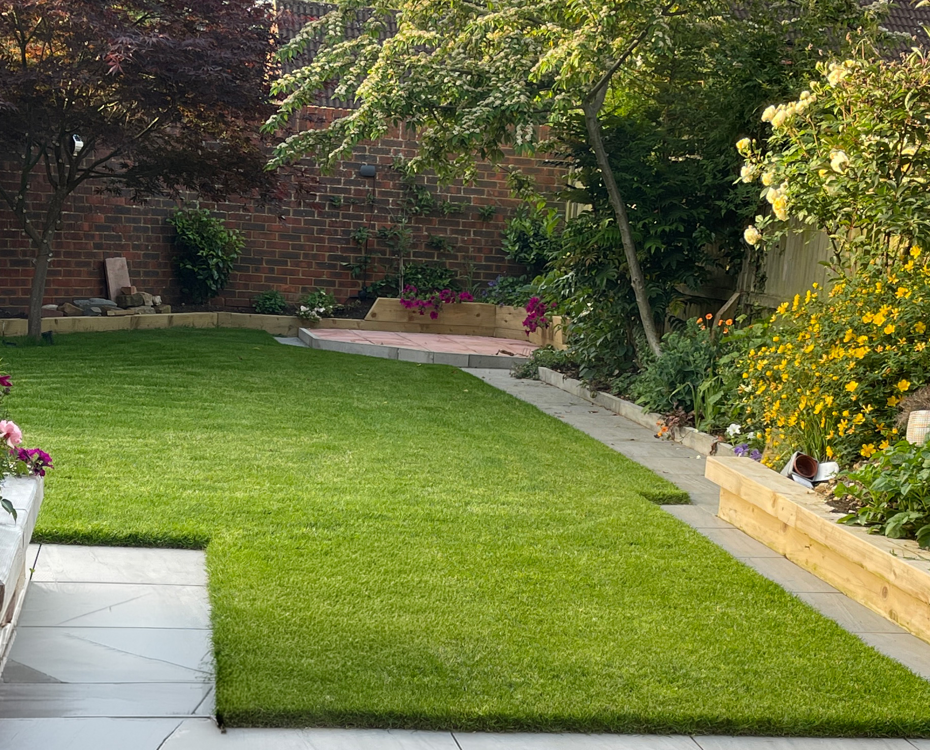 New lawn turf with crisp edging and raised beds